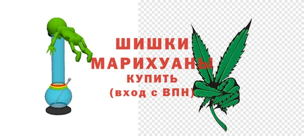 дмт Богданович